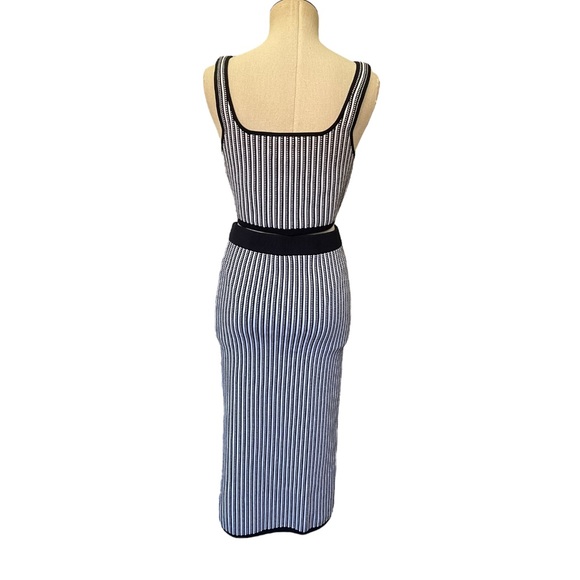 Aritzia Babaton Striped Set- Sculpt Knit Tank & Bodycon Tube Midi Skirt - Picture 10 of 11
